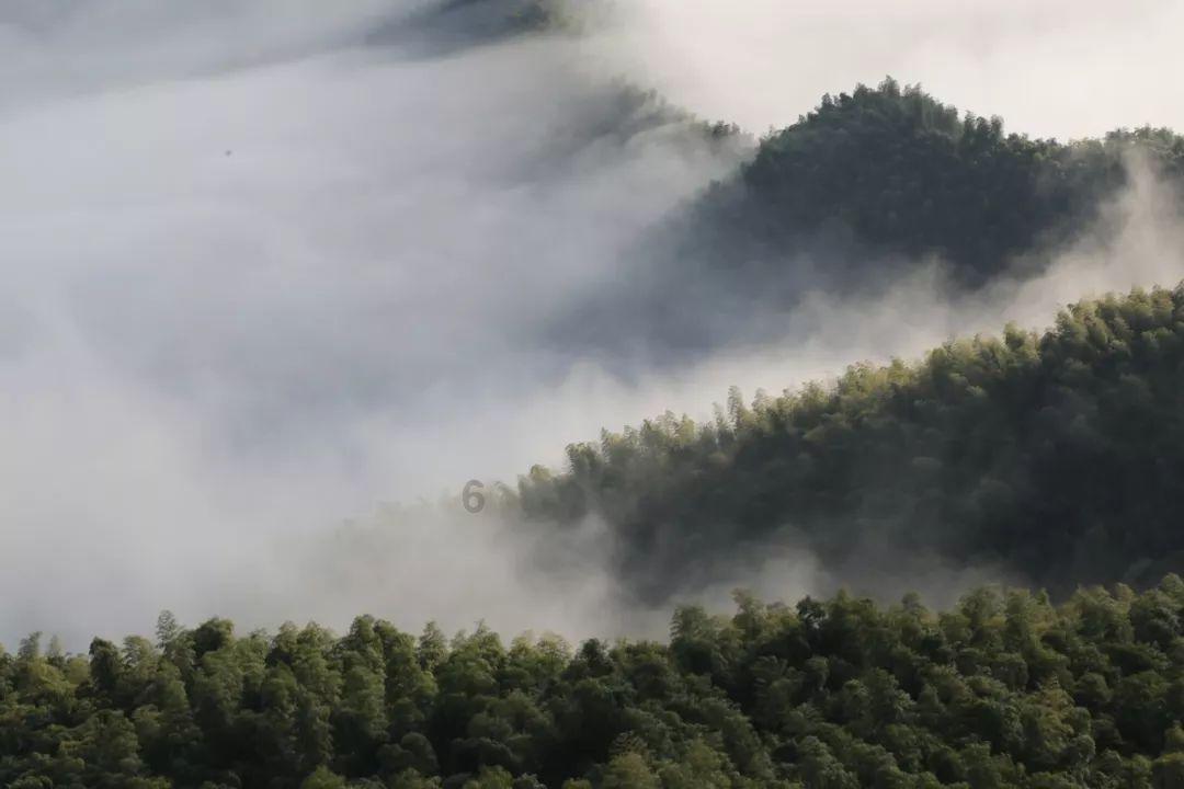 三伏天吃哪些东西可以做到真正地消暑?-专业问答平台,解答您的困惑